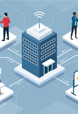 Business Fixed IP