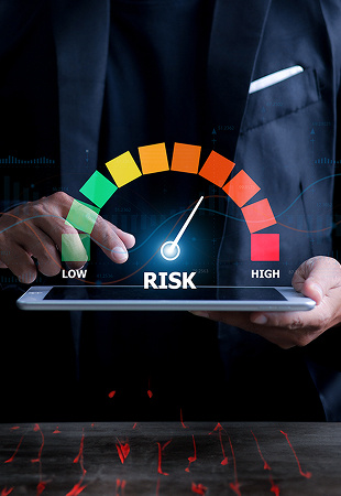Credit Risk Insight