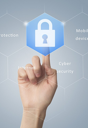 PDPA & DPS ( Personal Data Protection Act & Data Protection Services )