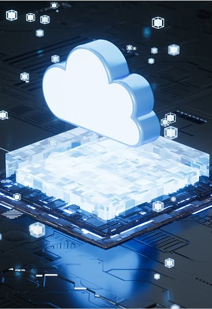 SD-WAN ( Software Defined WAN )